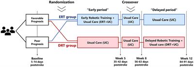 Exoskeleton-assisted training to enhance lower limb motor recovery in subacute stroke: does timing matter? A pilot randomized trial
